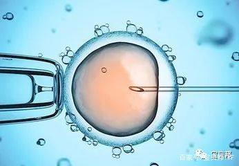 借卵代生包女孩代生包成功